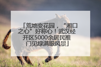 荒地变花园，“湘口之心”好称心！武汉经开区5000余居民推门见绿满眼风景