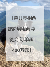 荣县亮相西部跨境电商博览会 订单超400万元