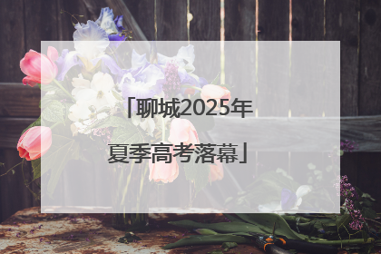 聊城2025年夏季高考落幕