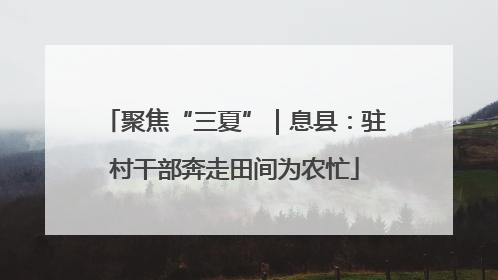 聚焦“三夏”｜息县：驻村干部奔走田间为农忙