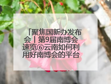 聚焦国新办发布会丨第9届南博会速览⑥云南如何利用好南博会的平台带动作用，深化与南亚国家的交流与合作？