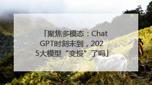 聚焦多模态：ChatGPT时刻未到，2025大模型“变慢”了吗