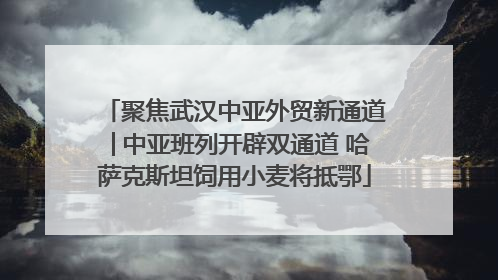 聚焦武汉中亚外贸新通道│中亚班列开辟双通道 哈萨克斯坦饲用小麦将抵鄂