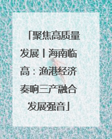 聚焦高质量发展丨海南临高：渔港经济奏响三产融合发展强音