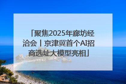 聚焦2025年廊坊经洽会丨京津冀首个AI招商选址大模型亮相