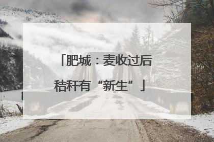 肥城：麦收过后秸秆有“新生”