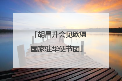 胡昌升会见欧盟国家驻华使节团