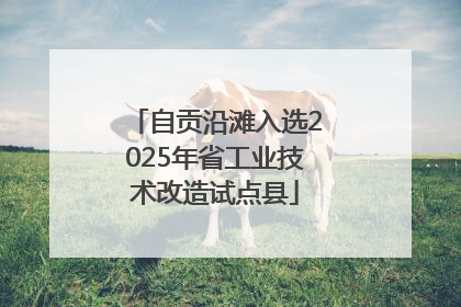 自贡沿滩入选2025年省工业技术改造试点县