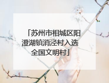 苏州市相城区阳澄湖镇消泾村入选全国文明村