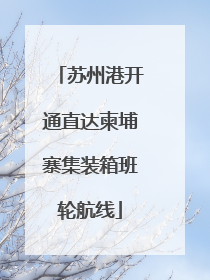 苏州港开通直达柬埔寨集装箱班轮航线