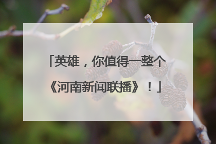 英雄，你值得一整个《河南新闻联播》！