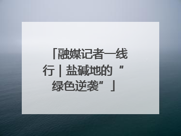 融媒记者一线行｜盐碱地的“绿色逆袭”