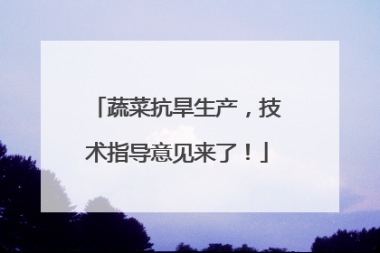 蔬菜抗旱生产，技术指导意见来了！