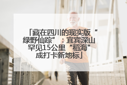 藏在四川的现实版“绿野仙踪”：宜宾深山罕见15公里“稻海”成打卡新地标