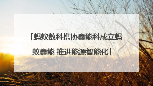 蚂蚁数科携协鑫能科成立蚂蚁鑫能 推进能源智能化