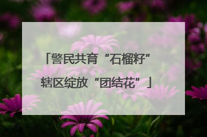 警民共育“石榴籽” 辖区绽放“团结花”