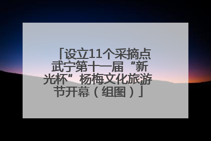 设立11个采摘点 武宁第十一届“新光杯”杨梅文化旅游节开幕（组图）