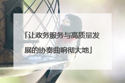让政务服务与高质量发展的协奏曲响彻大地