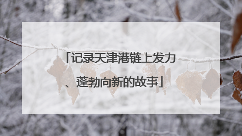 记录天津港链上发力、蓬勃向新的故事