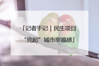 记者手记｜民生项目“兜起”城市幸福感