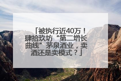被执行近40万！肆拾玖坊“第二增长曲线”茅泉酒业，卖酒还是卖模式？