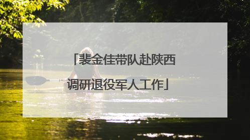 裴金佳带队赴陕西调研退役军人工作