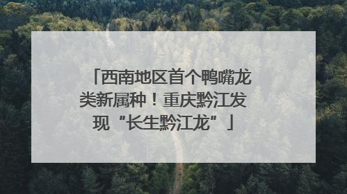 西南地区首个鸭嘴龙类新属种！重庆黔江发现“长生黔江龙”