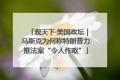 观天下·美国政坛｜马斯克为何称特朗普力推法案“令人作呕”