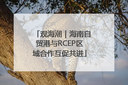 观海潮｜海南自贸港与RCEP区域合作互促共进