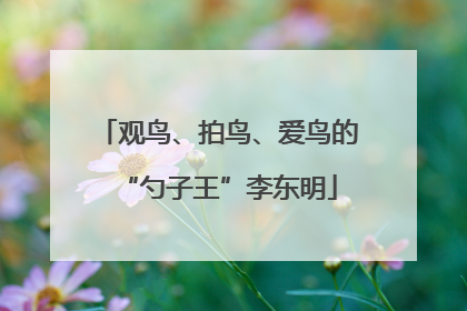 观鸟、拍鸟、爱鸟的“勺子王”李东明