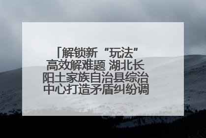 解锁新“玩法” 高效解难题 湖北长阳土家族自治县综治中心打造矛盾纠纷调处“终点站”
