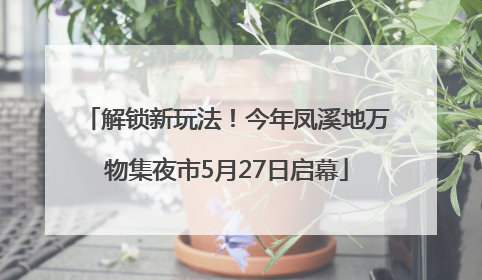 解锁新玩法！今年凤溪地万物集夜市5月27日启幕