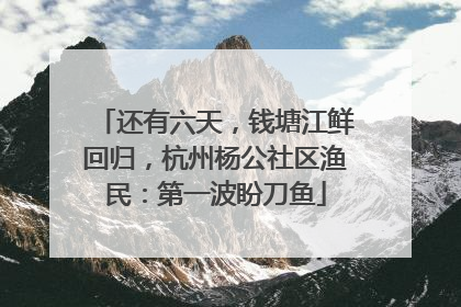 还有六天，钱塘江鲜回归，杭州杨公社区渔民：第一波盼刀鱼