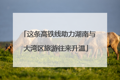 这条高铁线助力湖南与大湾区旅游往来升温