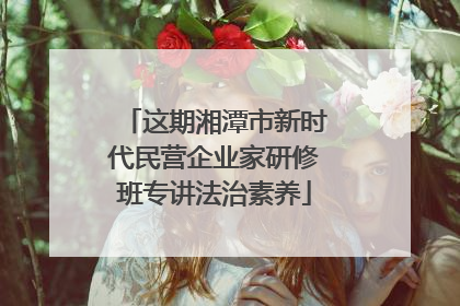 这期湘潭市新时代民营企业家研修班专讲法治素养