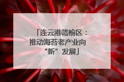 连云港赣榆区：推动海苔老产业向“新”发展