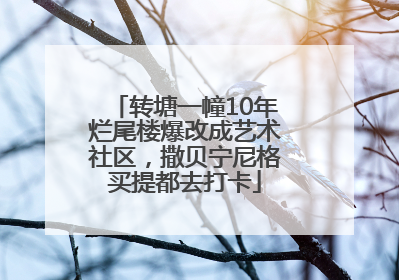 转塘一幢10年烂尾楼爆改成艺术社区，撒贝宁尼格买提都去打卡