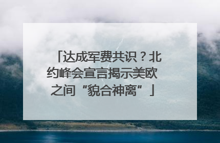 达成军费共识？北约峰会宣言揭示美欧之间“貌合神离”