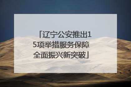 辽宁公安推出15项举措服务保障全面振兴新突破