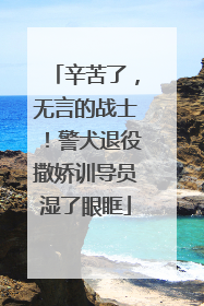 辛苦了，无言的战士！警犬退役撒娇训导员湿了眼眶