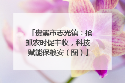 贵溪市志光镇：抢抓农时促丰收，科技赋能保粮安（图）