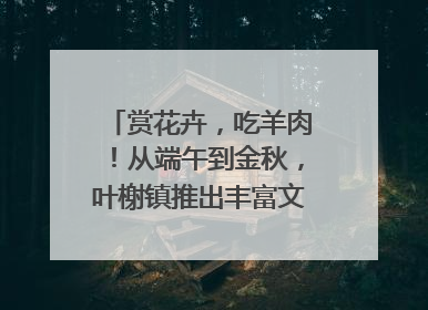 赏花卉，吃羊肉！从端午到金秋，叶榭镇推出丰富文旅活动邀您爽玩