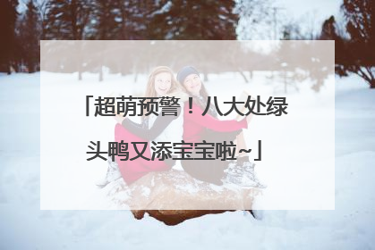 超萌预警！八大处绿头鸭又添宝宝啦~
