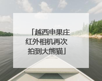 越西申果庄红外相机再次拍到大熊猫