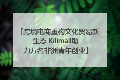 跨境电商重构文化贸易新生态 Kilimall助力万名非洲青年创业