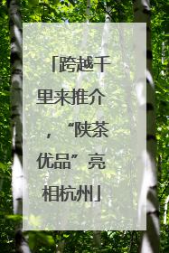 跨越千里来推介，“陕茶优品”亮相杭州