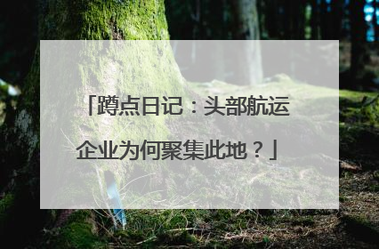 蹲点日记：头部航运企业为何聚集此地？