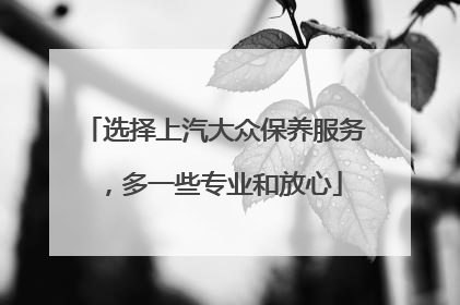 选择上汽大众保养服务，多一些专业和放心