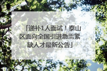 递补1人面试！泰山区面向全国引进急需紧缺人才最新公告