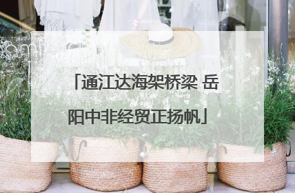 通江达海架桥梁 岳阳中非经贸正扬帆